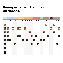 GENERALDIACOLOR_EN_7 (1).webp